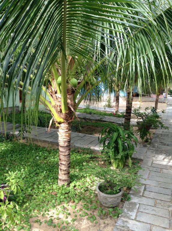 Cocosand Hotel Phan Thiet Exterior photo