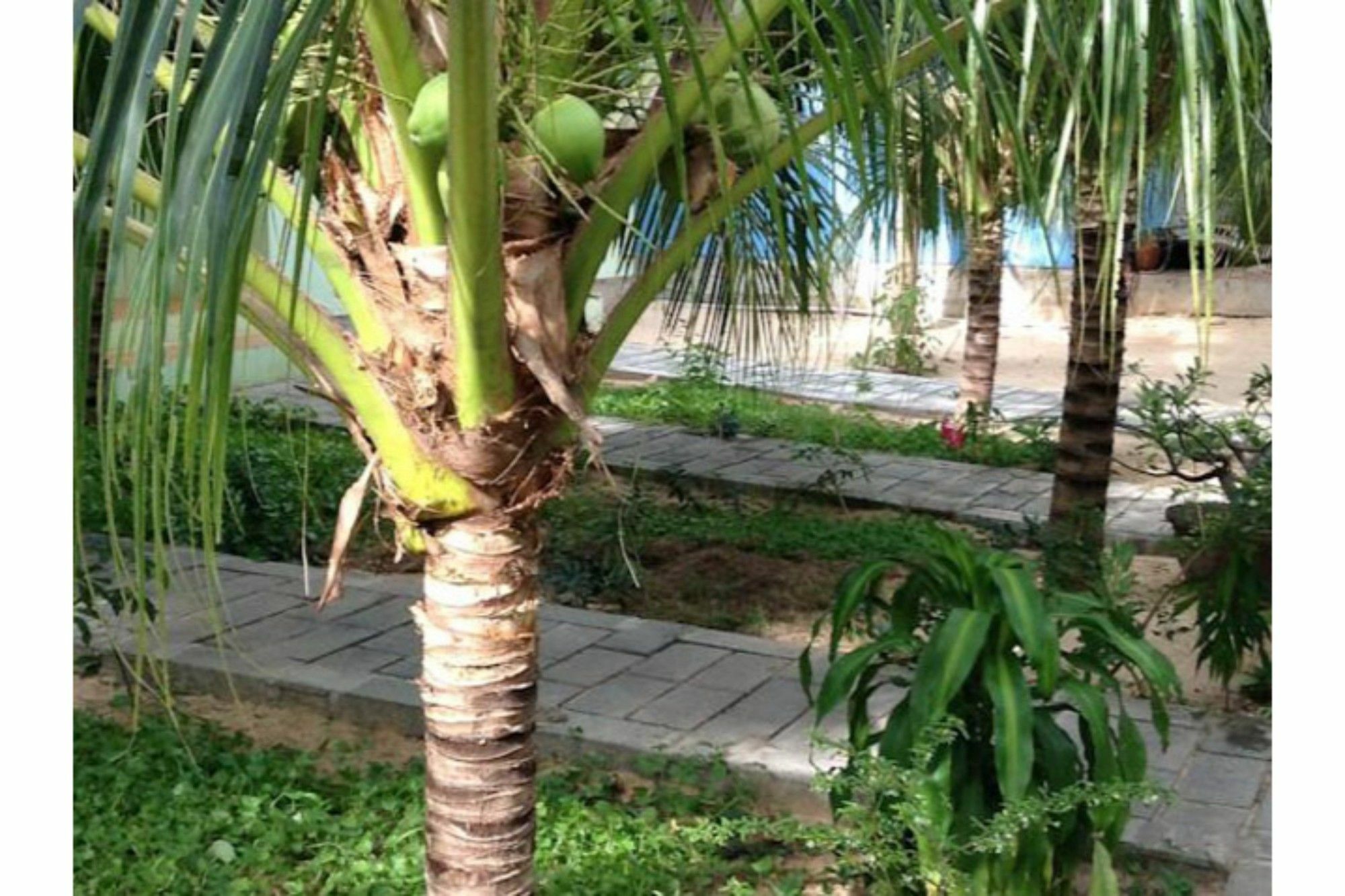 Cocosand Hotel Phan Thiet Exterior photo