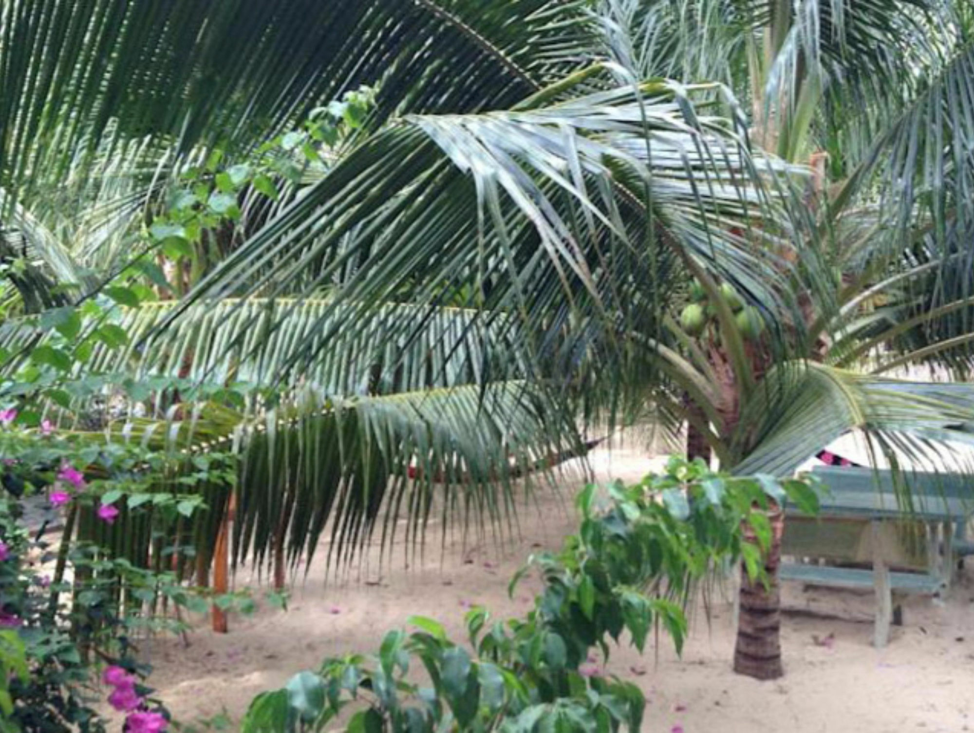 Cocosand Hotel Phan Thiet Exterior photo